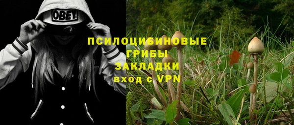 трава Ладушкин